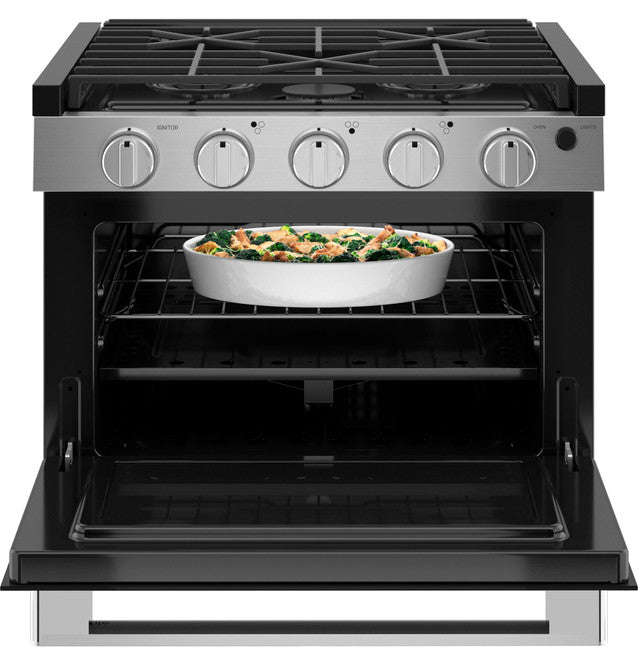 GE Profile 17" Drop-In RV Gas Range with Oven (PLD617RTSS)