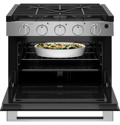 GE Profile 17" Drop-In RV Gas Range with Oven (PLD617RTSS)