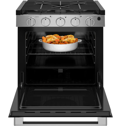 GE Profile 21" Drop-In RV Gas Range with Oven (PLD621RTSS)