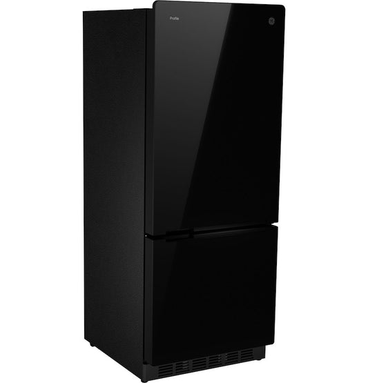 GE Profile™ 10 Cu. Ft. 12V DC Bottom Freezer Refrigerator - Glass with Black Appearance (PBV10R5VB)B