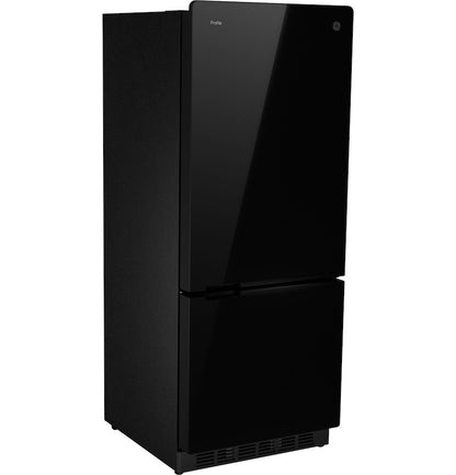 GE Profile™ 10 Cu. Ft. 12V DC Bottom Freezer Refrigerator - Glass with Black Appearance (PBV10R5VB)B